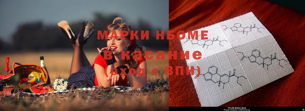 индика Армянск