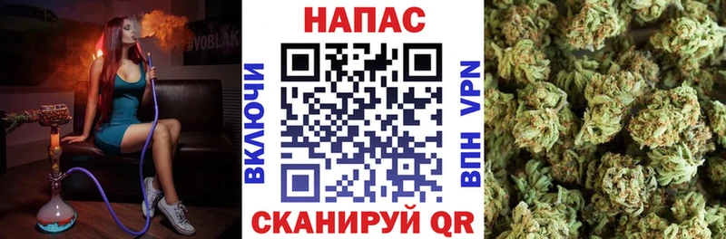 Бошки марихуана OG Kush  где купить наркоту  Киреевск 